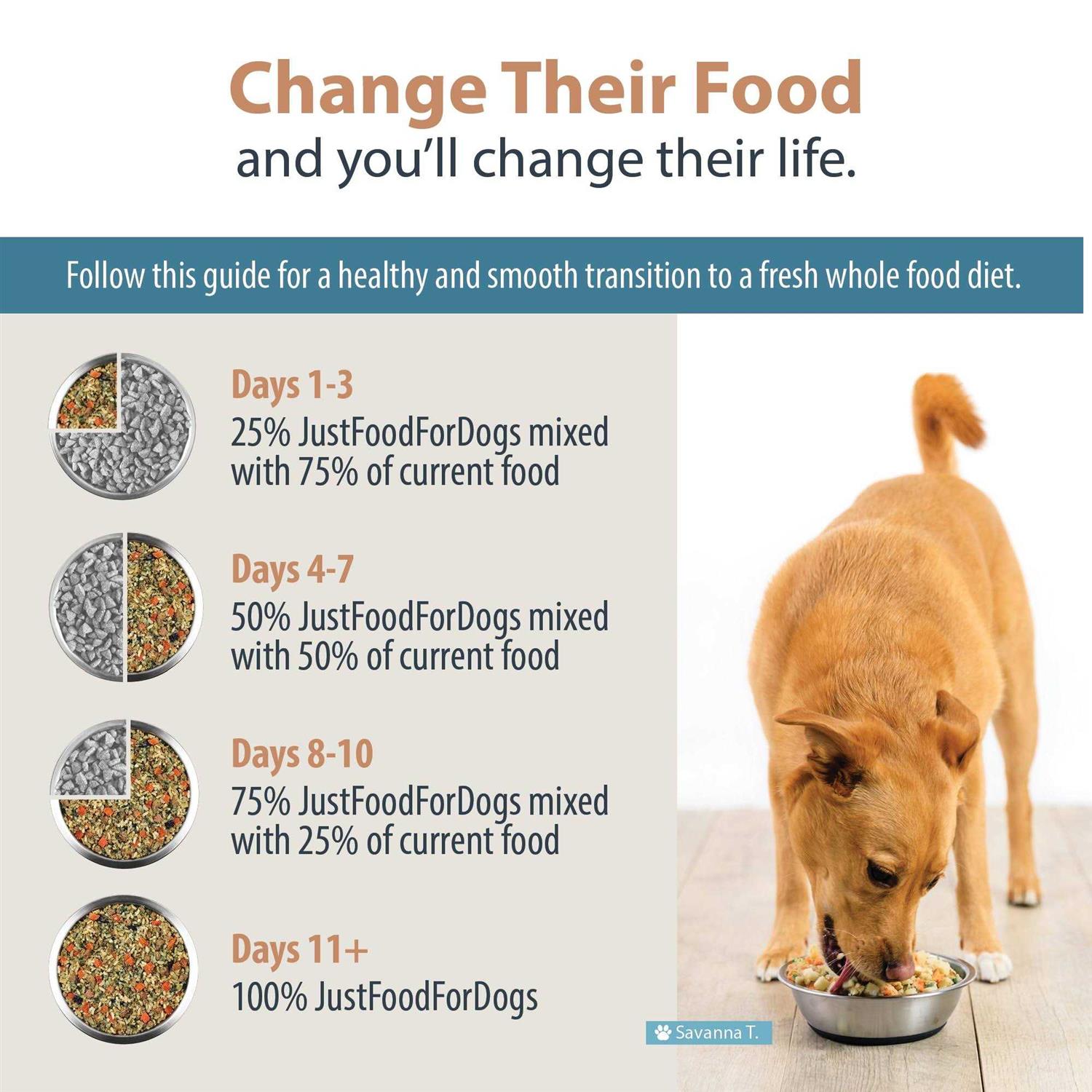 JustFoodForDogs Renal Support Low Protein Diet - Pet Supplies online store