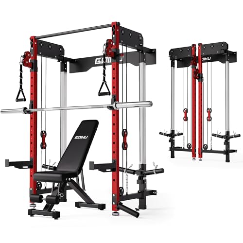 WM3-V4 Folding Squat Rack, Wall Mounted Power Rack with Dual Independent Pulley System