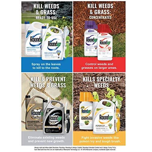 Roundup 1 Gal Super Concentrate Weed u0026 Grass Killer