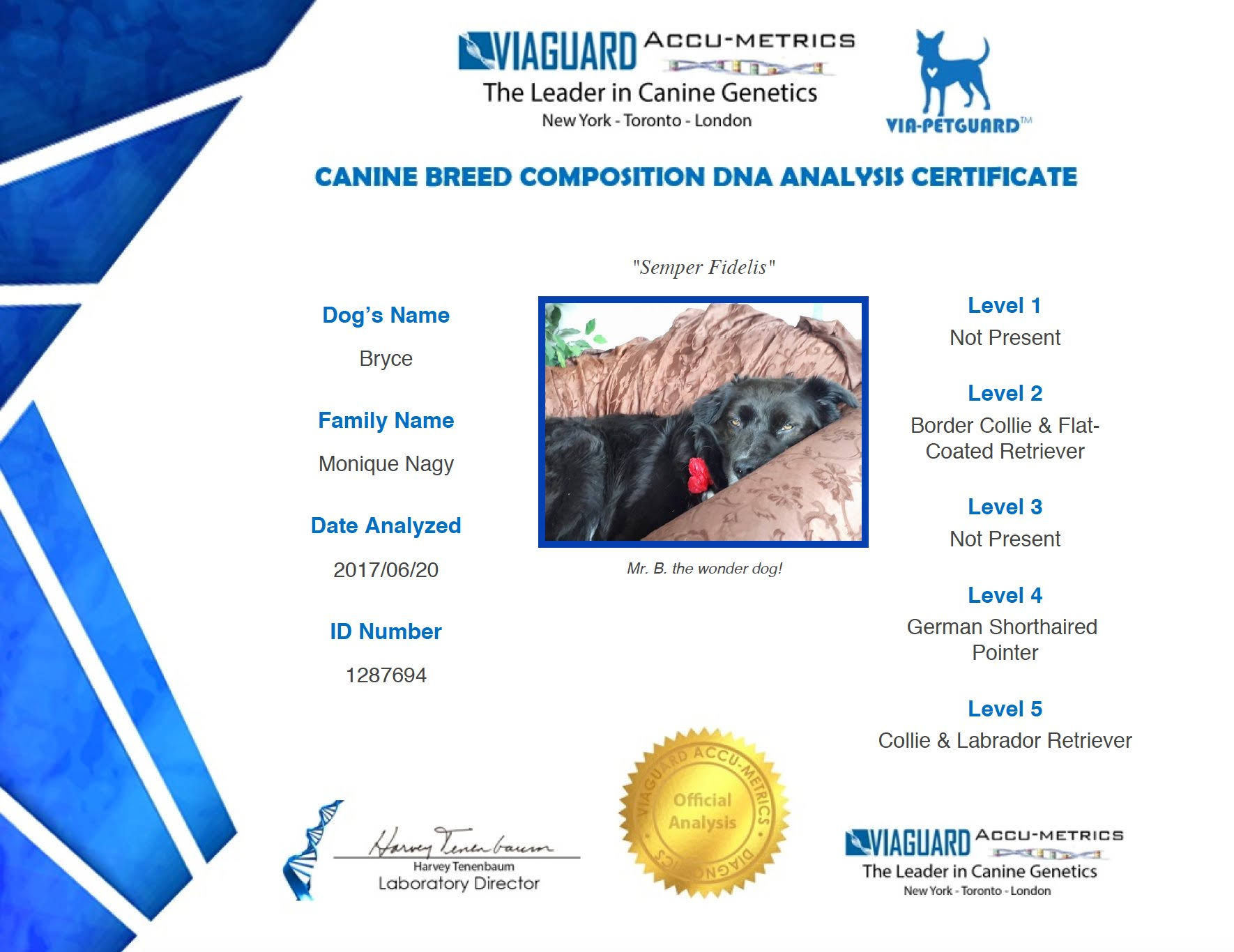 Dog DNA - Canine Breed Identification Test - Home Cheek Swab Kit