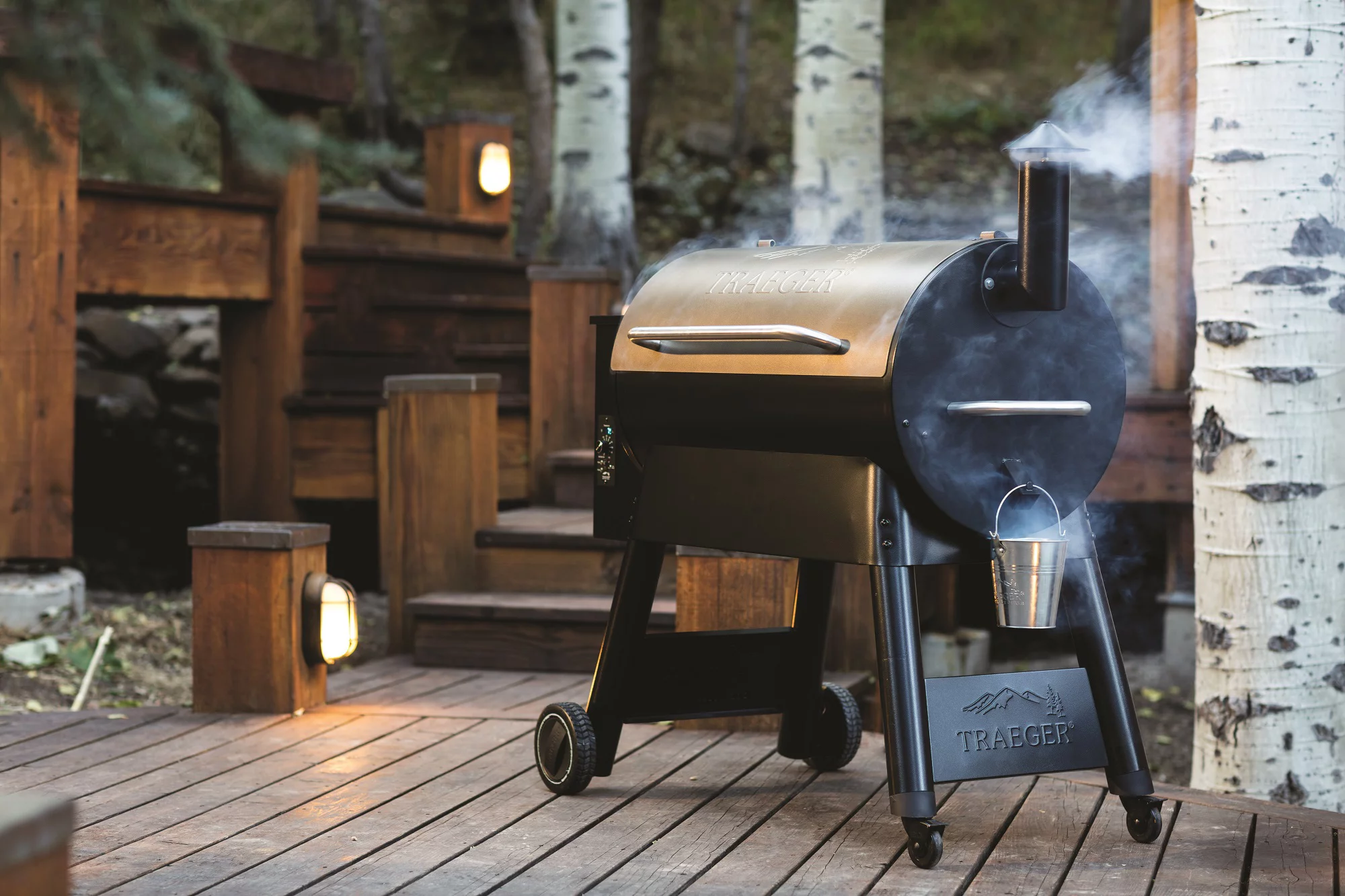 Traeger Pellet Grills Pro 34 Wood Pellet Grill and Smoker - Bronze - Radiant Selections