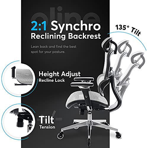 Oline ErgoPro Ergonomic Office Chair, Rolling Desk Chair with 4D Adjustable Armrest, 3D Lumbar Support, Blade Wheels