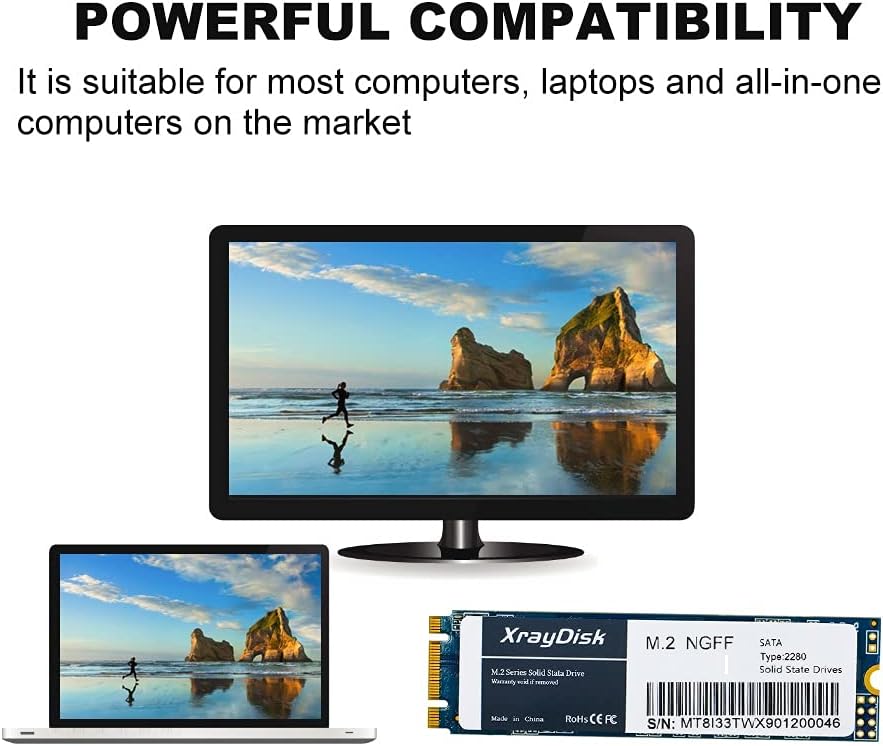 XrayDisk 1TB SSD with SLC Cache 3D NAND TLC M.2 2280 SATA III 6Gb/s Internal Solid State Drive SSD (Read/Write Speed up to 530/480 MB/s) 1000GB