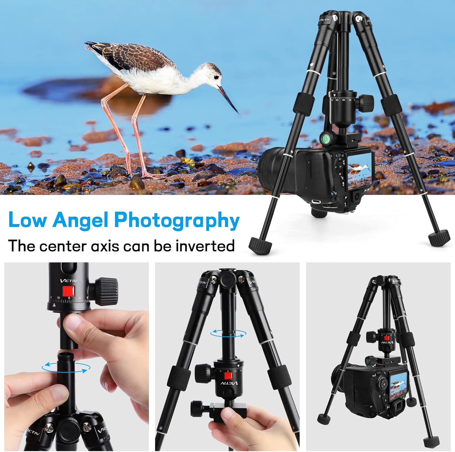 Tabletop Tripod, 20inch Portable Desktop Mini Tripod for Camera with 360 Degree Ball Head, Aluminum Small Travel Tripod
