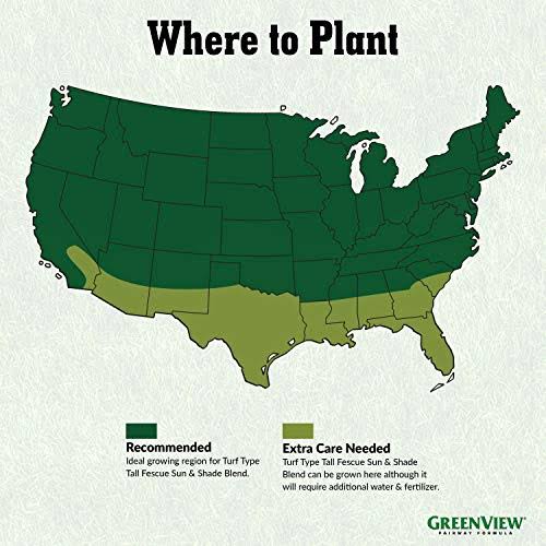 Greenview 2829348 Fairway Formula Grass Seed Turf Type Tall Fescue Sun u0026 Shade Blend, 20 lb