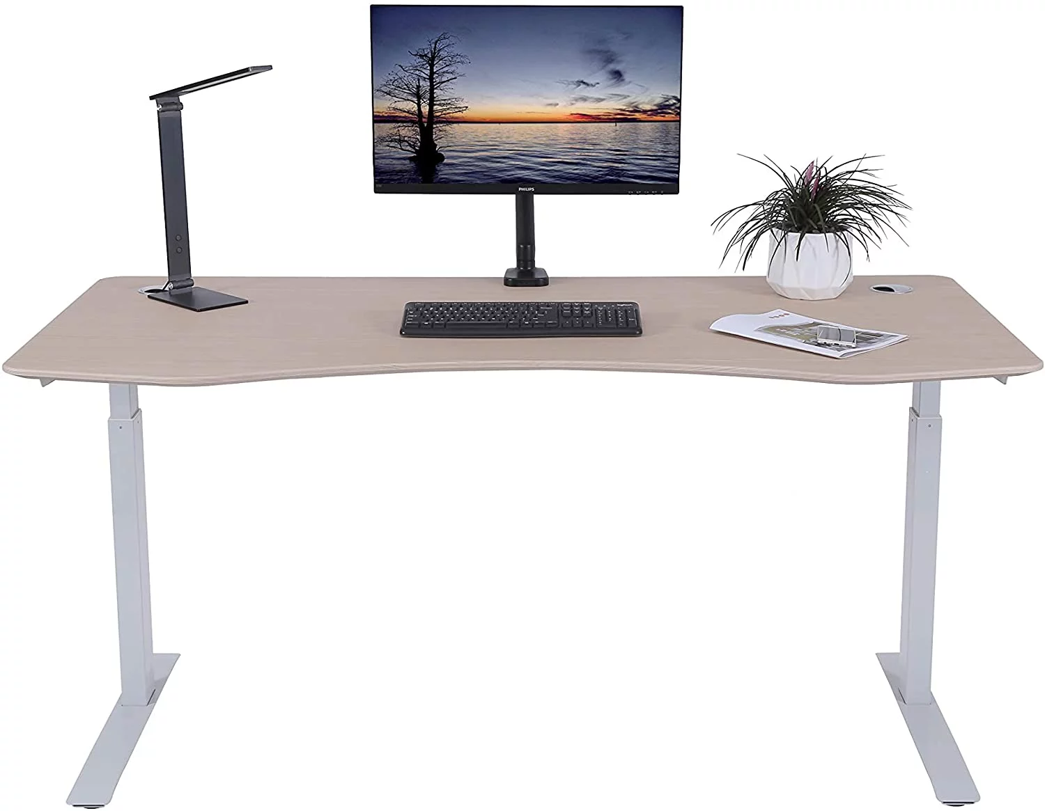 ApexDesk Elite Series 60" W Electric Height Adjustable Standing Desk (Light Oak Top, White Frame)