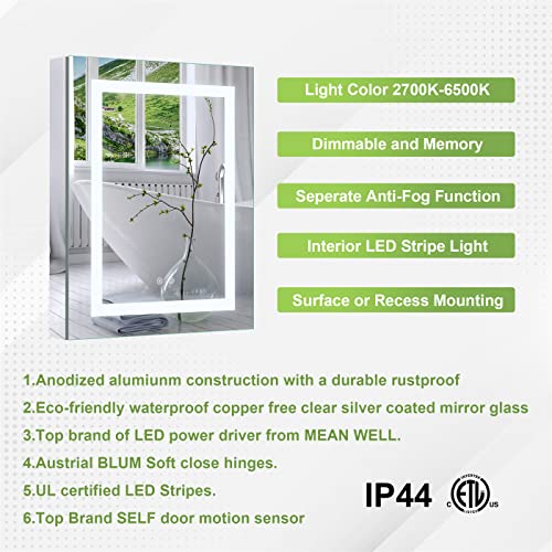 WELLFOR 30" X 30" LED Medicine Cabinet with Mirror for Bathroom, Medicine Cabinet with Lights, Bathroom Mirror with Storage, Double Opening Doors