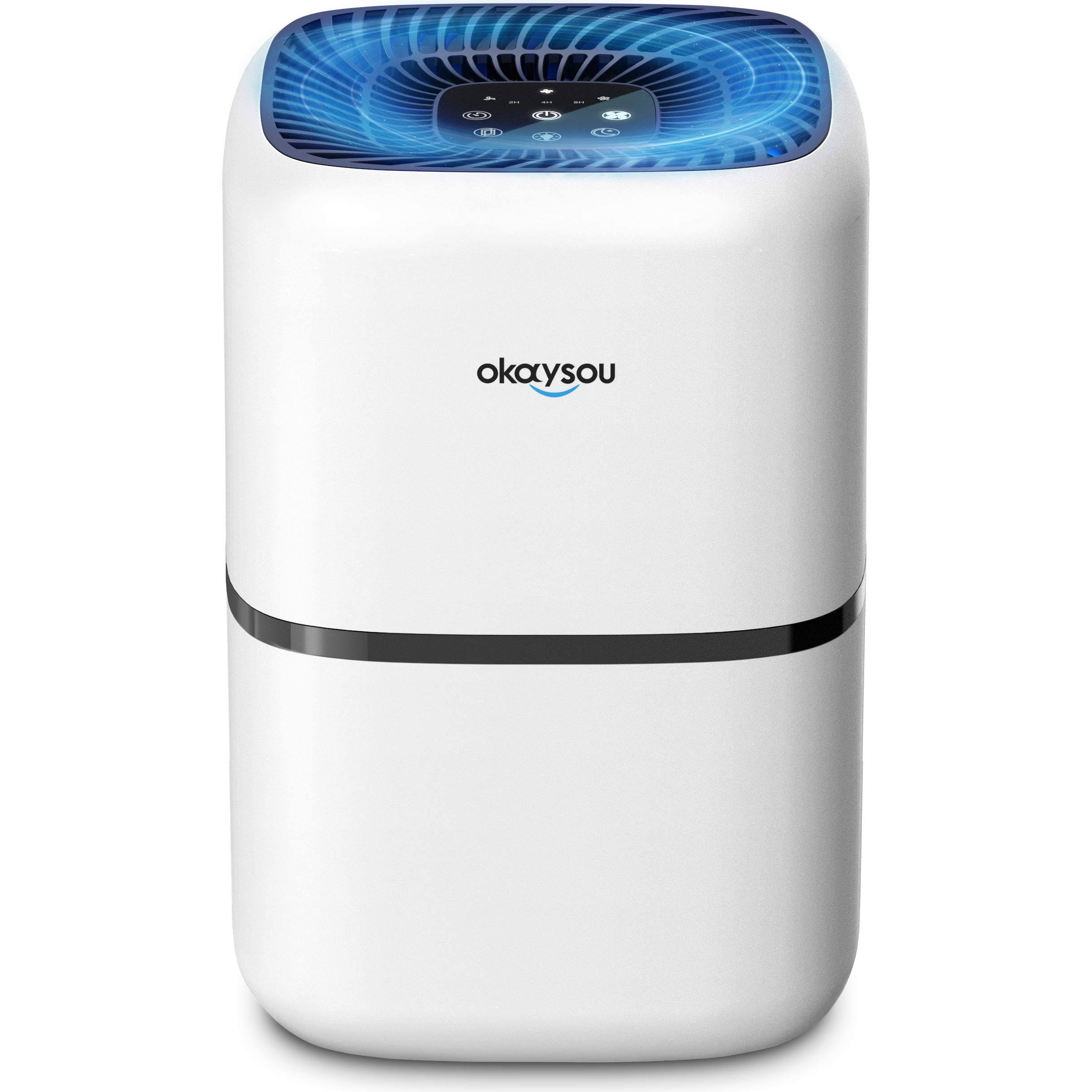 Okaysou AirMic4S Medical Grade Air Purifier for Home Allergies and Pets