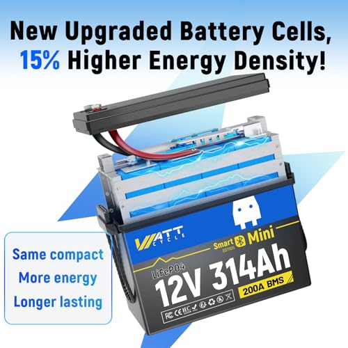 12V 314Ah Mini LiFePO4 Lithium Battery with Bluetooth 5.0, 200A BMS, 4.01kWh Energy, Upgraded Aluminum Cooling Fins & Braided Copper Wires, for RV