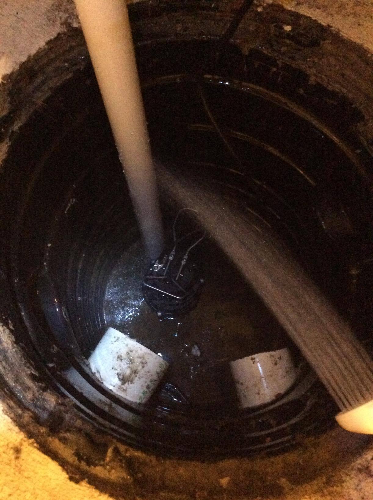 Wayne 1/3 HP Cast Iron Submersible Sump Pump Cdu790