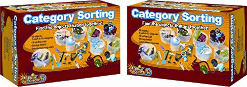 Primary Concepts Category Sorting