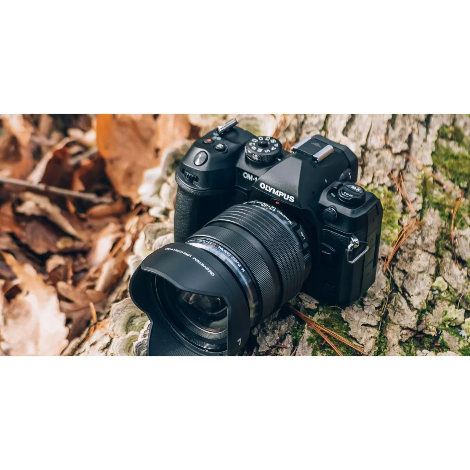 Olympus OM SYSTEM OM-1 20.4 Megapixel Mirrorless Camera with Lens, 0.47", 1.57", Black