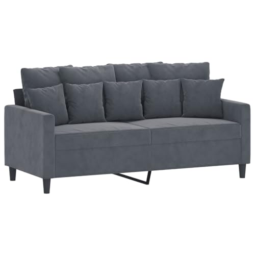 vidaXL 2-Piece Dark Gray Velvet Sofa Set with Thick Padded Seats and Back Pillows - Modern Design for Living Room Furniture