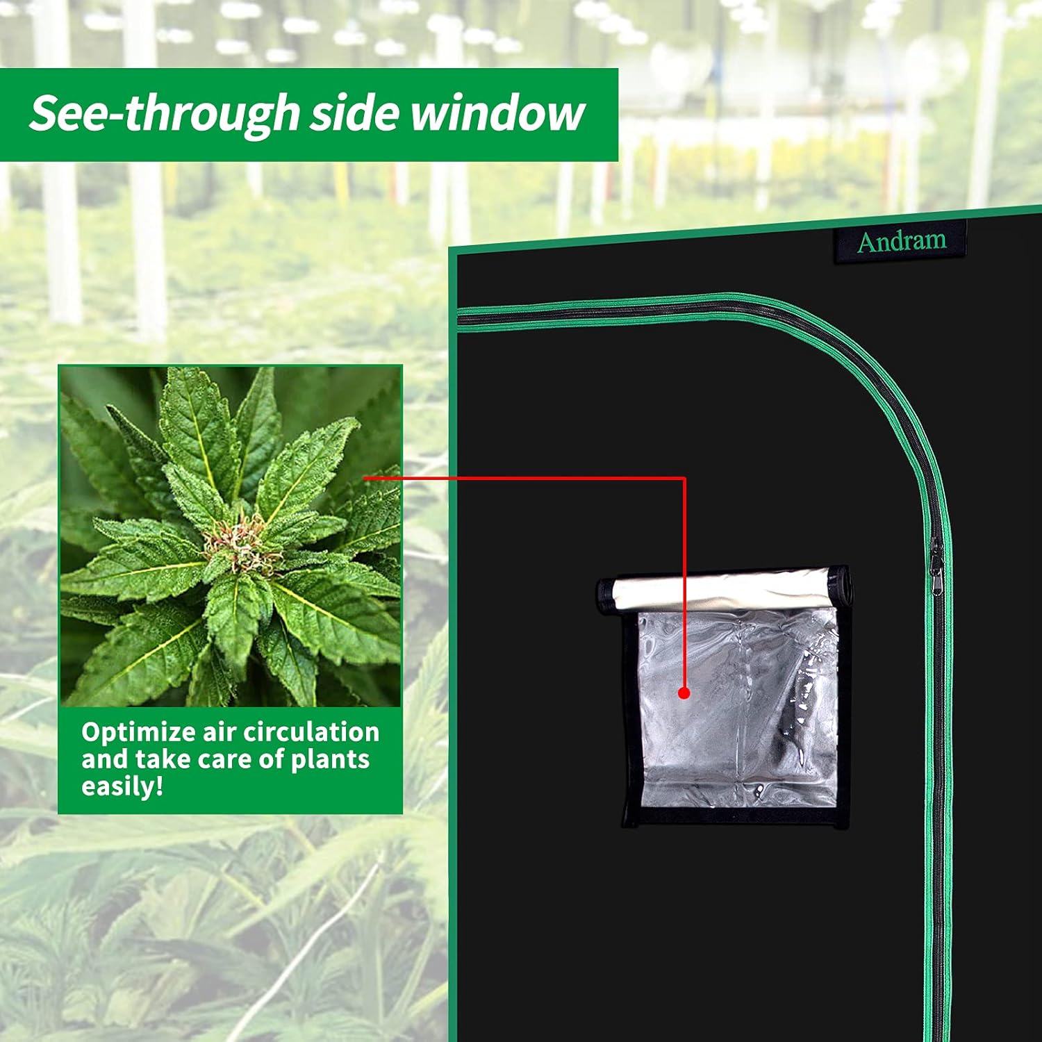 ANDRAM Grow Tent, 4’x4’ 600D Mylar Reflective Grow Tents for Hydroponics Indoor Growing, Grow Tent Reflective Garden Growing Dark Room (48"x48"x80")