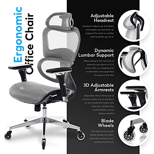 Oline ErgoPro Ergonomic Office Chair, Rolling Desk Chair with 4D Adjustable Armrest, 3D Lumbar Support, Blade Wheels