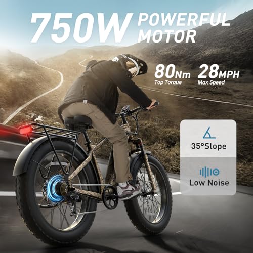 Electric Bike for Adults with 960W(Peak), 26" Fat Tire Electric Mountain Bike，48V 15AH Removable Battery Ebike