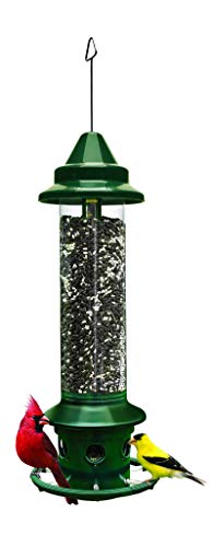 Squirrel Buster Plus Squirrel-proof Bird Feeder w/Cardinal Ring and 6 Feeding Ports, 5.1-pound Seed Capacity, Adjustable