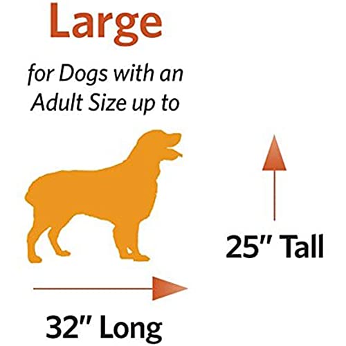 MidWest Homes for Pets Ovation Single Door Dog Crate, 42-Inch