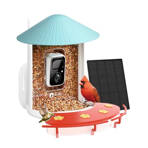 NETVUE Birdfy® Pro Bird Feeder with Camera, Wider Perch DIY Add-ons, Hummingbird Feeder, Suet Ball, Jelly Feeder