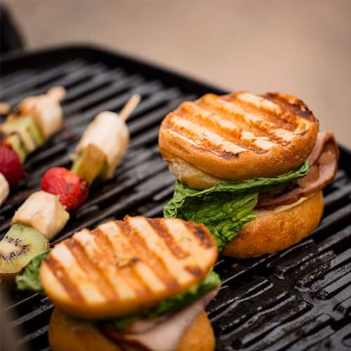Weber Q1200 Liquid Propane Grill, Green