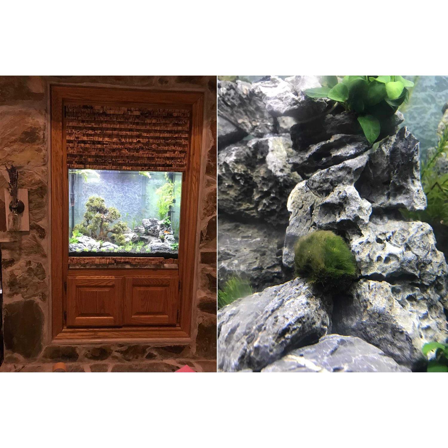 Voulosimi 44 lb Seiryu Rock Stone for Aquariums - Pet Supplies online store