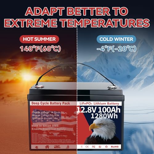12V 100Ah LiFePO4 Lithium Battery Group 31 1280Wh Upgraded Low-Temp Protection LiFePO4 Battery, Built-in 100A Smart BMS