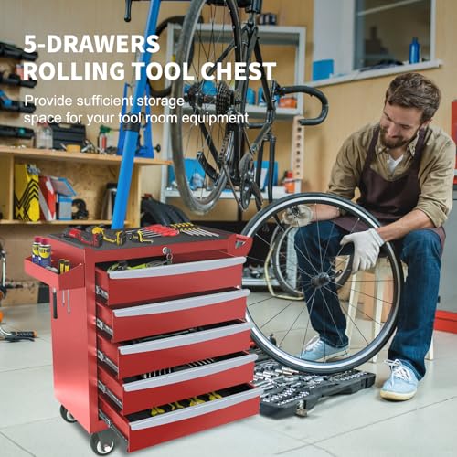 Rolling Tool Chest, Metal Tool Box with 5 Drawers