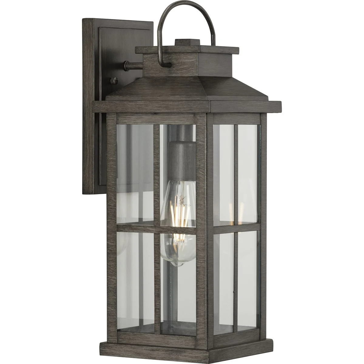 Williamston Collection One-Light Antique Pewter and Clear Glass Transitional Style Large Outdoor Wall Lantern