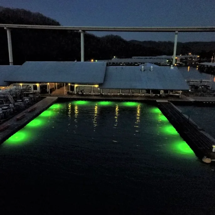 Hydro Glow DM260G 40W 120V AC Dock Mounted Fish Light Green