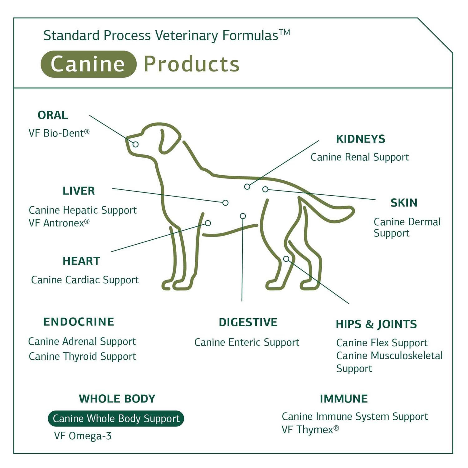 Standard Process Canine Whole Body Support - Pet Supplies online store