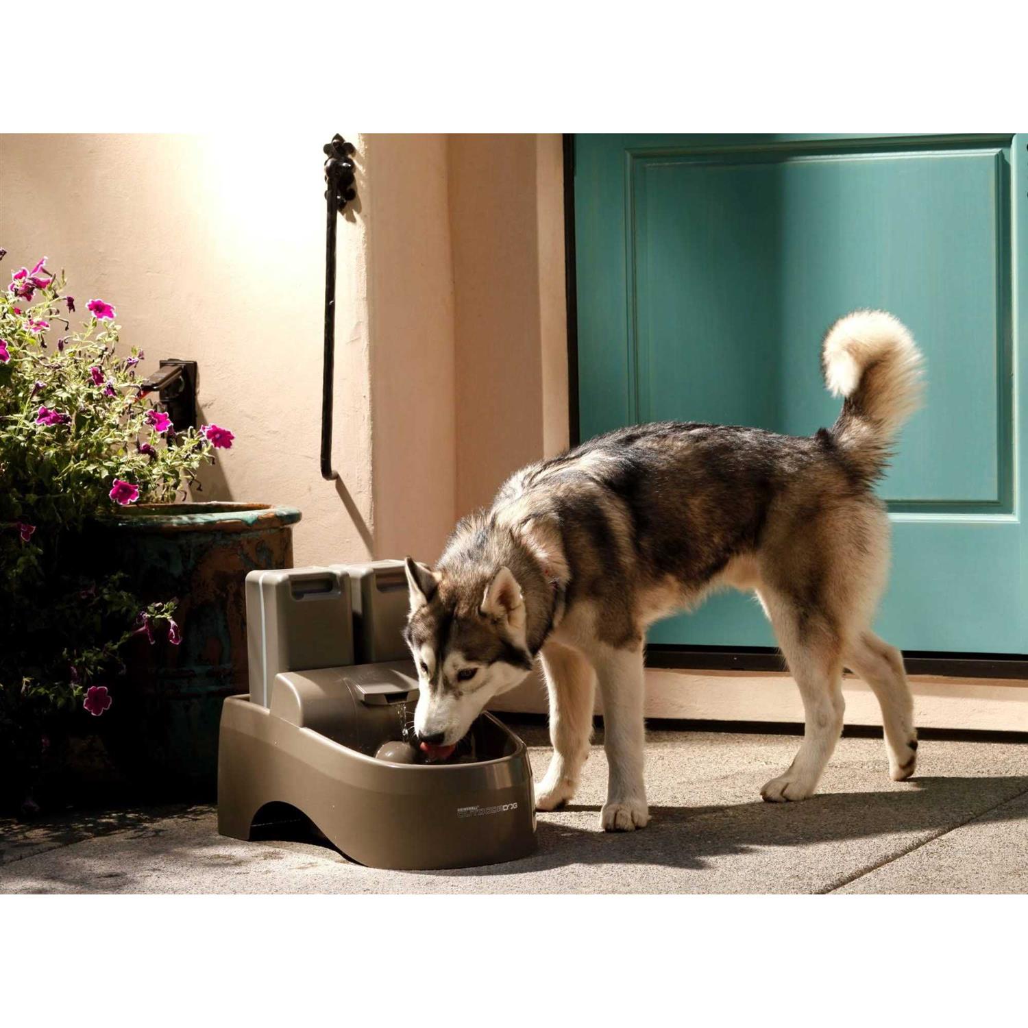 PetSafe Drinkwell Outdoor Dog Fountain - Pet Supplies online store