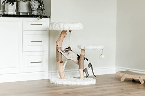 MAU Modern Cat Tower - Wooden Cat Scratching Tree & Condo - Luxury Collection - Cat Lovers Gift