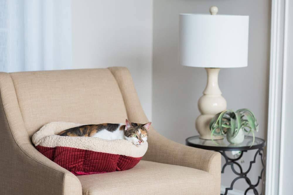 Petmate Aspen Pet 80135 Self-Warming Cat Bed