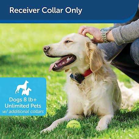 PetSafe Stubborn Dog Receiver Collar RF-275-11 - Pet Supplies online store