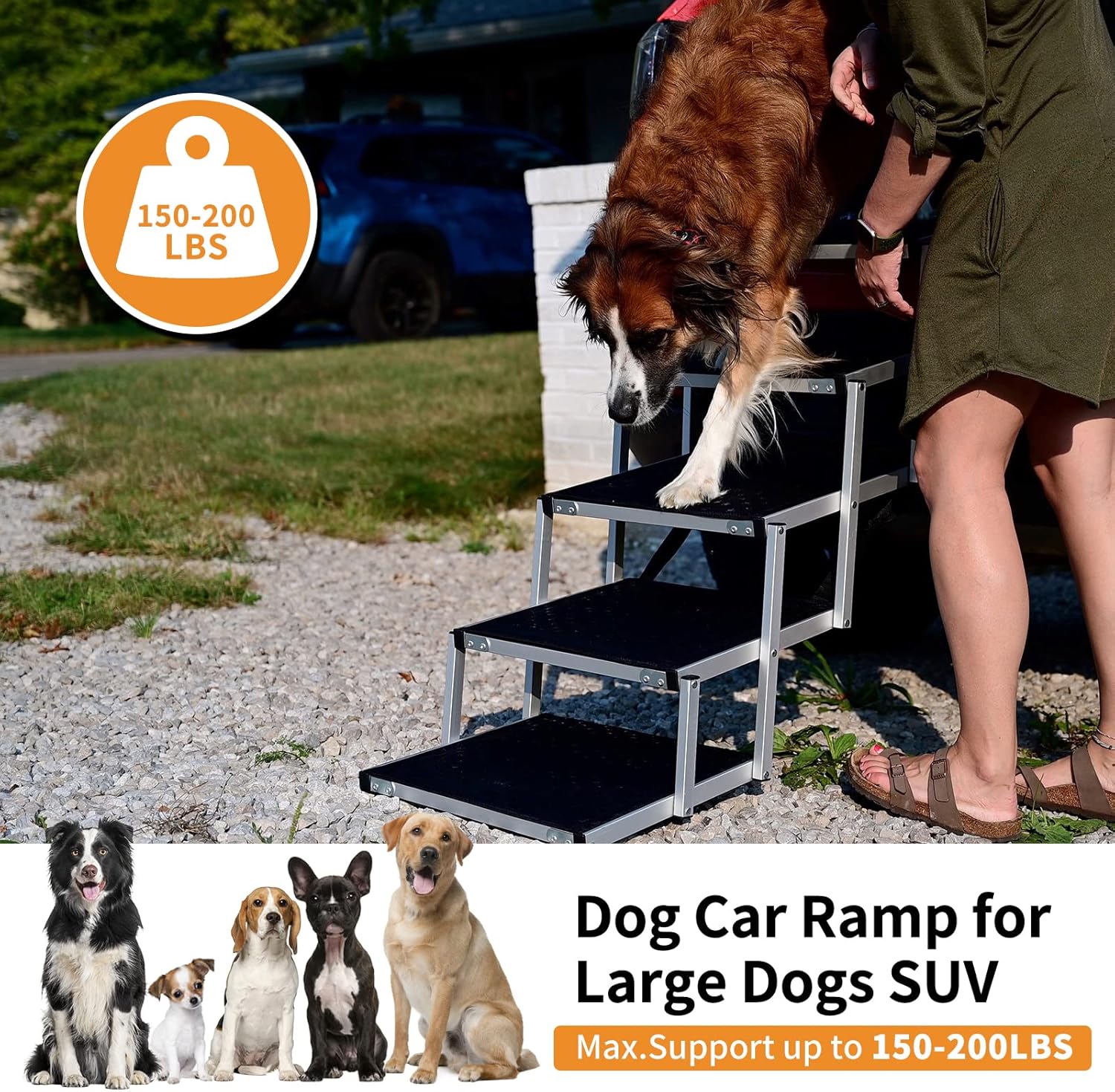 Dog Car Ramp for Large Dogs, LOOBANI Lightweight Dog Stairs Support up to 200lbs, Folding Agility Dog Ramp with Increased Nonslip Surface