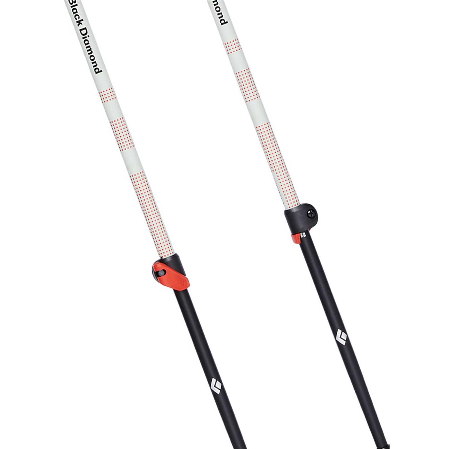 Black Diamond Expedition 2 Ski Poles - Sports Supplies Online Store