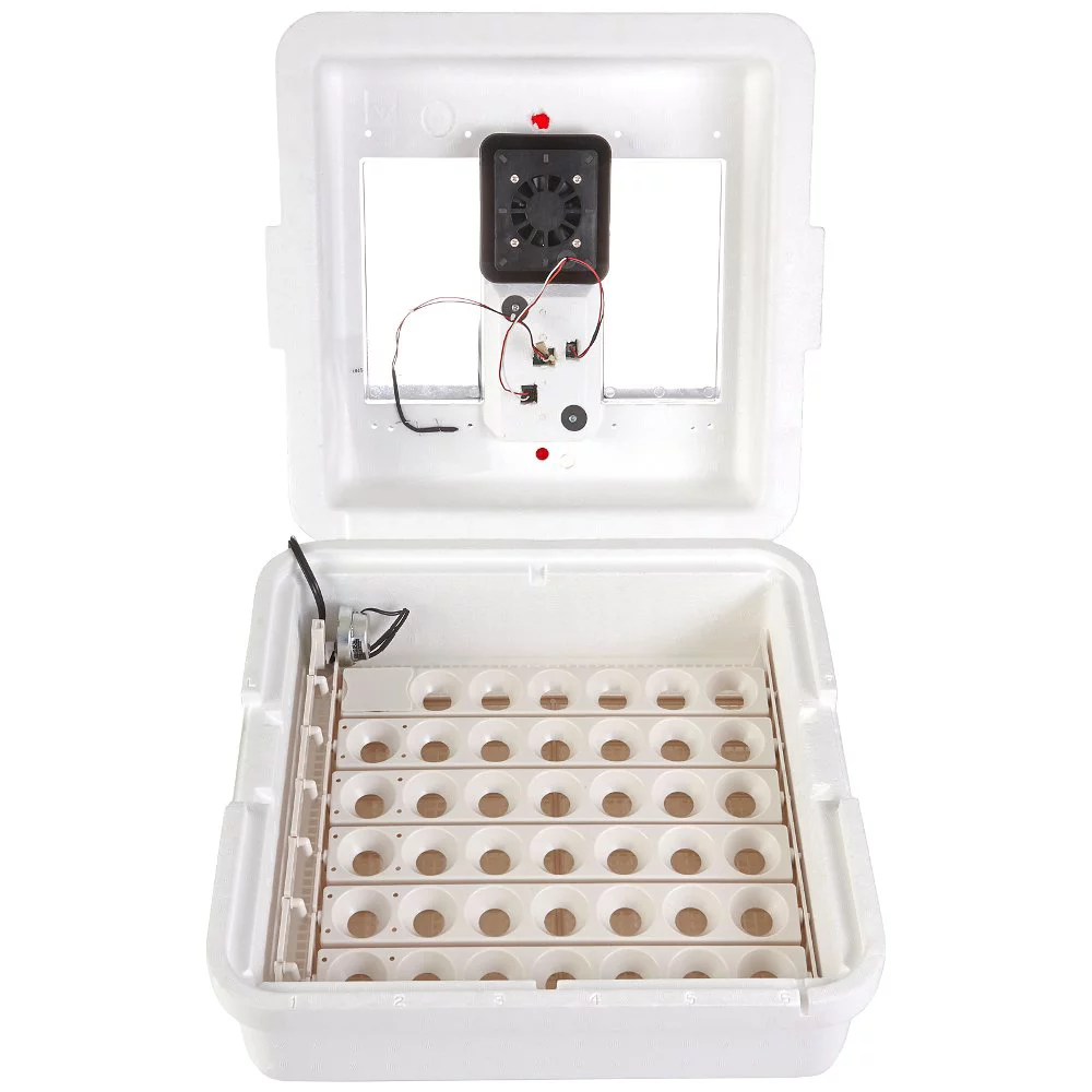 Miller Manufacturing 1213941 Deluxe Circulated Air Incubator with Egg Turner