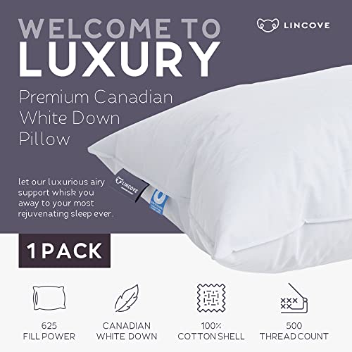 Lincove Cloud Natural Canadian Down and Waterfowl Feather Pillow, White Luxury Sleeping Pillow - 625 Fill Power, 500 Thread Count Cotton Shell