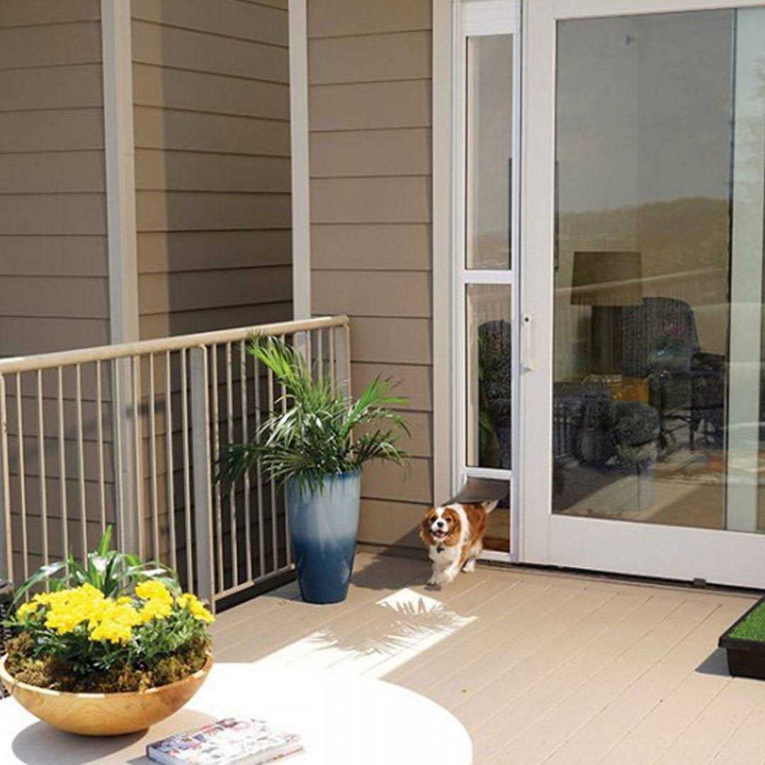 PetSafe Sliding Glass Pet Door - Pet Supplies online store