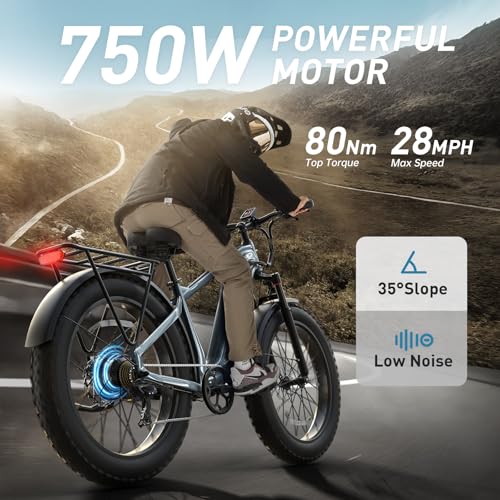 Electric Bike for Adults with 960W(Peak), 26" Fat Tire Electric Mountain Bike，48V 15AH Removable Battery Ebike