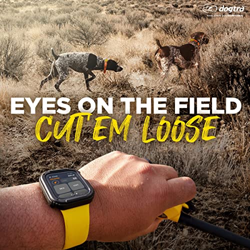 Dogtra Pathfinder 2 - Hunting Ecollar GPS Dog Training Collar with Remote, 9 Mile Range, Tracking & Containment for Medium & Large Dog Breeds