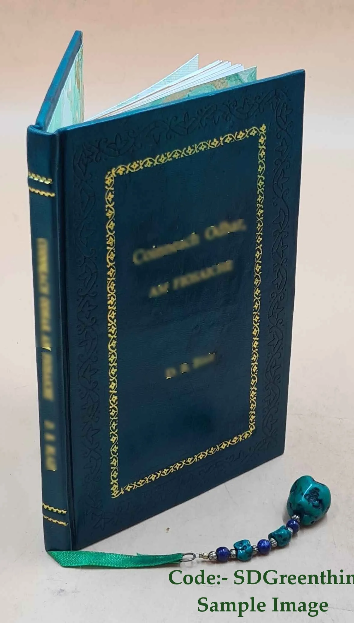 Album piano solo. 1906 [Premium Leather Bound]
