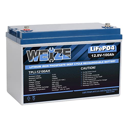 WEIZE 12V 100Ah LiFePO4 Lithium Battery, Upgrade Mini Size & Lightweight, 100A Smart BMS, Deep Cycle Low Temperature Protection Battery for RV, Solar