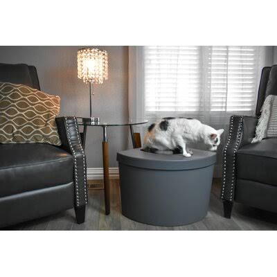 Kitangle Top Entry Cat Litter Box, Large, Grey