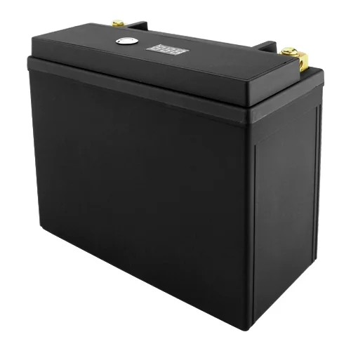 Banshee YTX20-BS Lithium Ion Sealed Battery High CCA ATV UTV Snowmobile Motorcycle