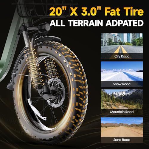 Electric Bike for Adults 20" Fat Tire,750W Motor 52V 13AH Removable Battery Max Range 35 Miles,28MPH