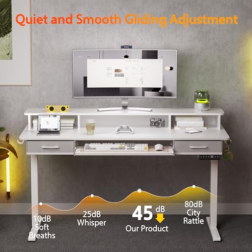 48x24 Inches Electric Standing Desk with 2 Drawers, Height Adjustable Stand up Desk for Home Office, Ergonomic Sit to Stand Table with Storage Shelf