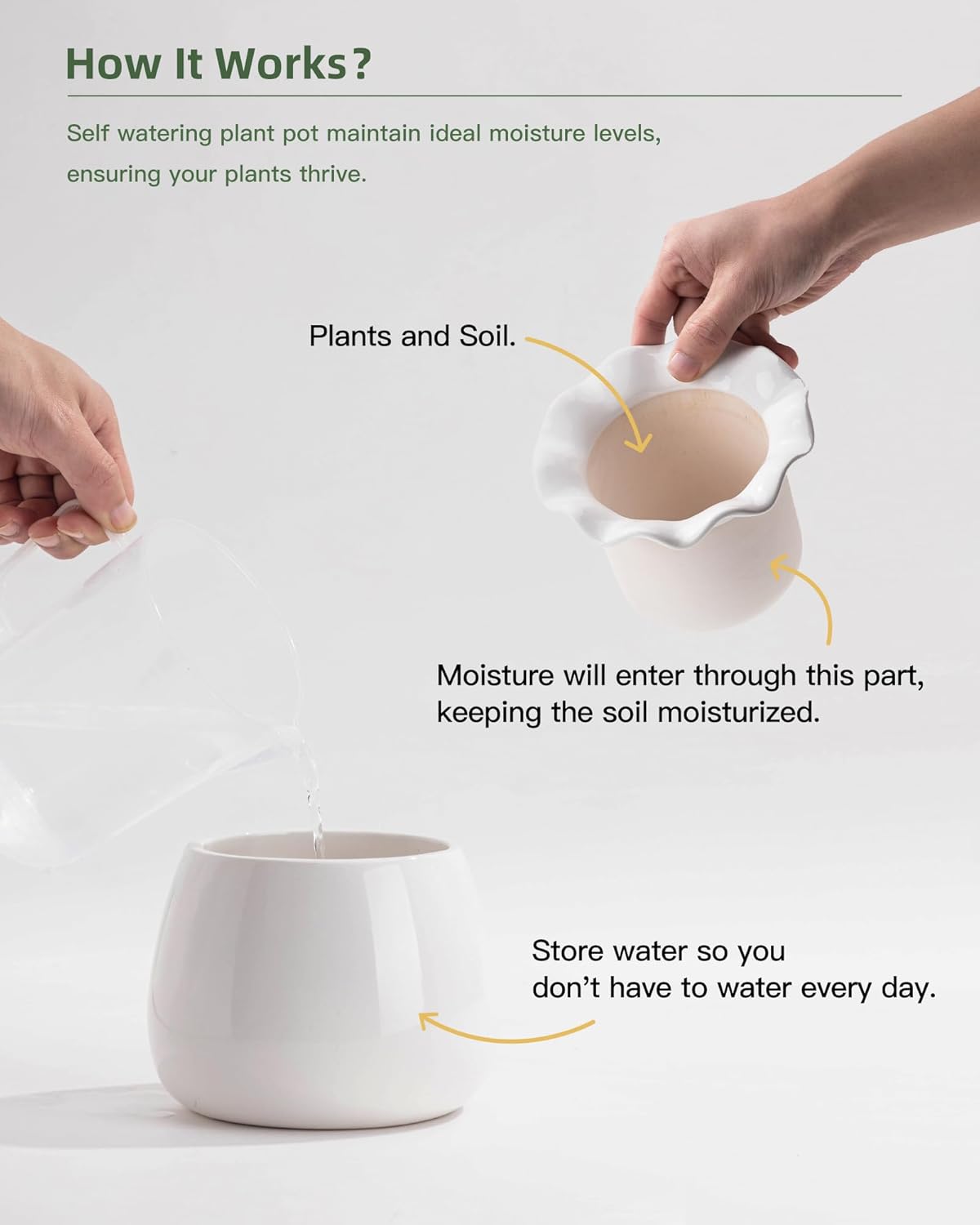 Self Watering Plant Pot, 6 Inch African Violet Pots Maintenance, Ceramic Self-Watering Planter for Indoor Plants