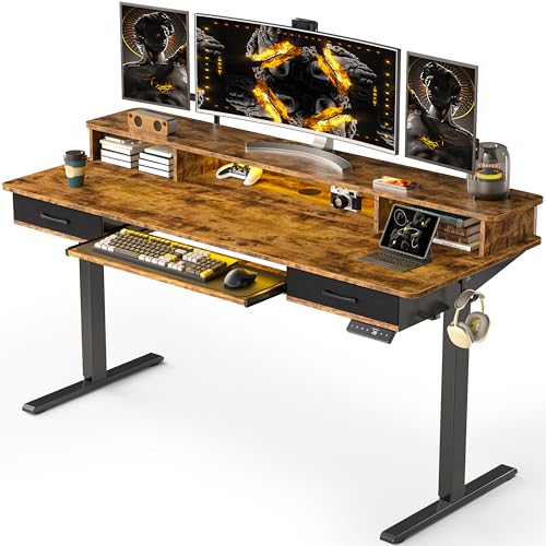 48x24 Inches Electric Standing Desk with 2 Drawers, Height Adjustable Stand up Desk for Home Office, Ergonomic Sit to Stand Table with Storage Shelf