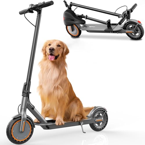 Electric Scooter, Folding E Scooter for Adults with Seat, 350W Motor, 8.5" Tire, 19MPH